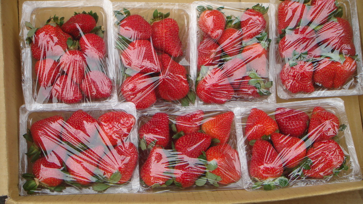 Strawberry7